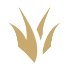 Jung lane çarkı resim